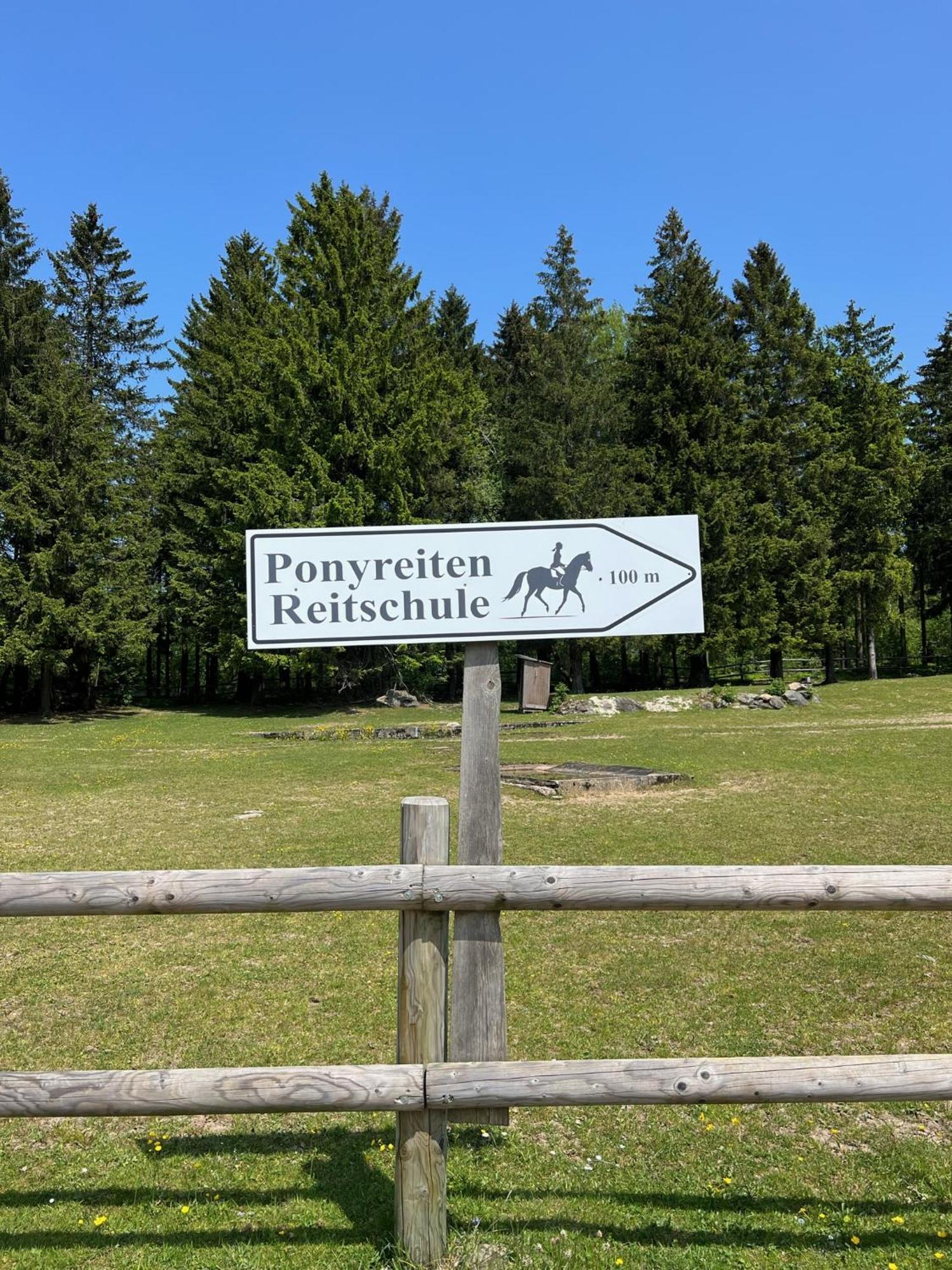 Hecht Ferienvermietung - Fewo Turmfalke Mit Sauna Und Schwimmbad Sankt Englmar Εξωτερικό φωτογραφία
